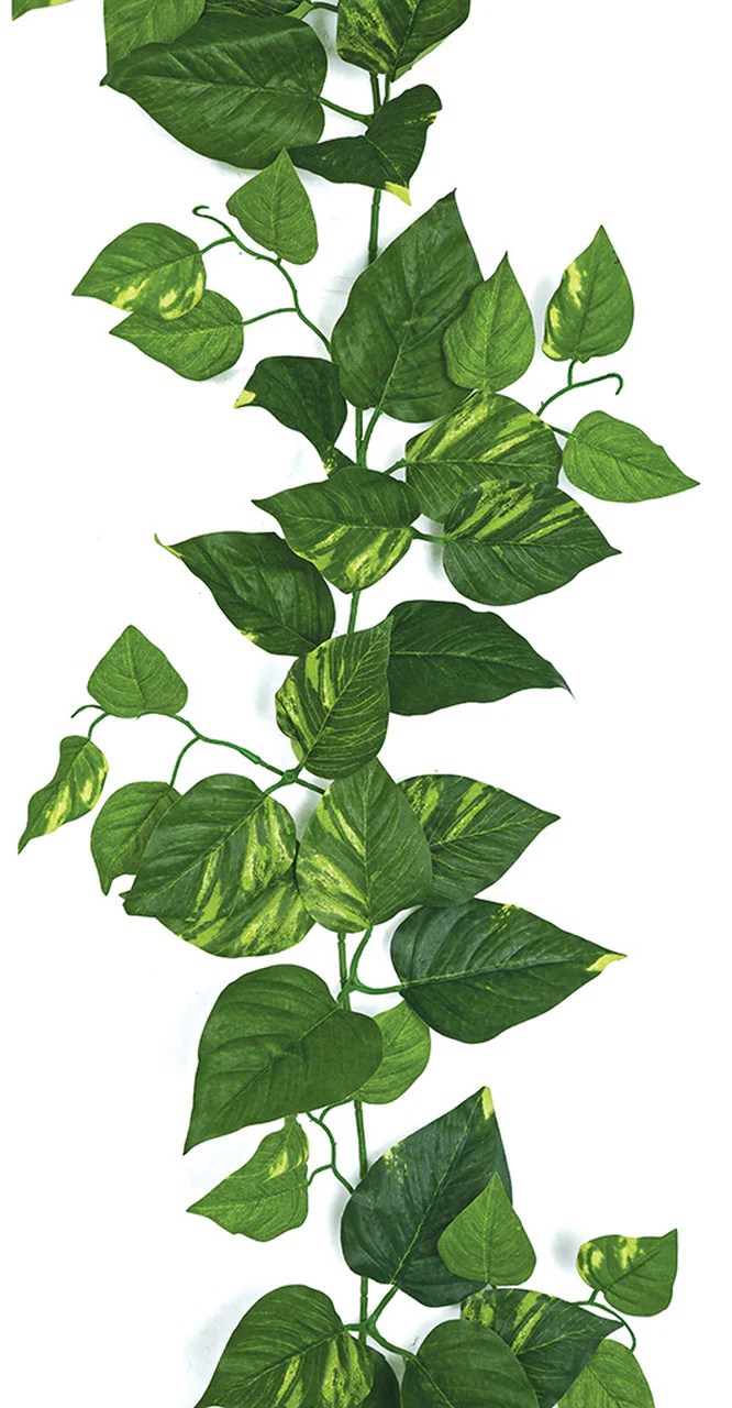 9' IFR Variegated Pothos Leaf Artificial Garland -Green/Cream (Pack of 6) - Image 2