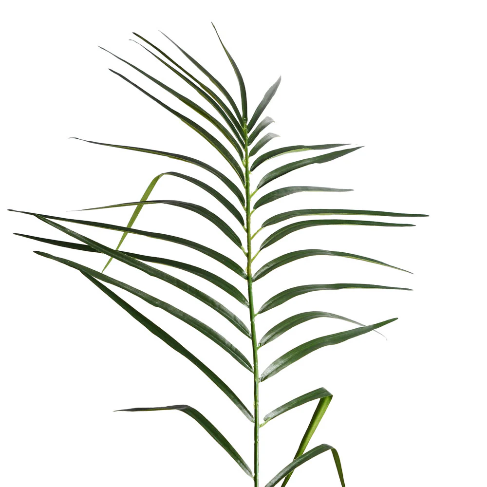 9' Phoenix Silk Palm Tree w/Pot -Green - Image 2