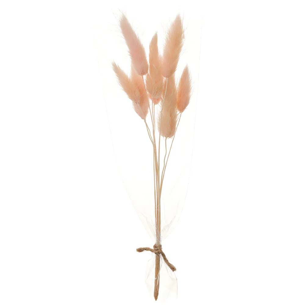 9" Preserved Foxtail Grass Flower Stem Bundle -Pink (Pack of 12)