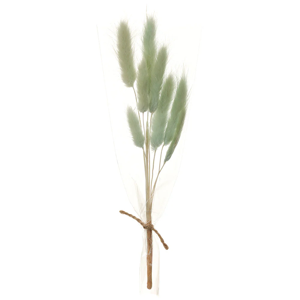 9" Preserved Foxtail Grass Flower Stem Bundle -Seafoam (Pack of 12)