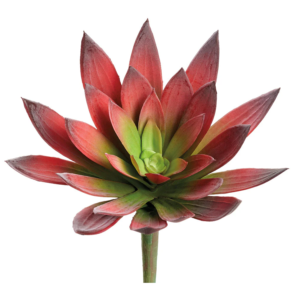 9" Real Touch Aeonium Succulent Artificial Stem Pick -Burgundy/Green (Pack of 12)