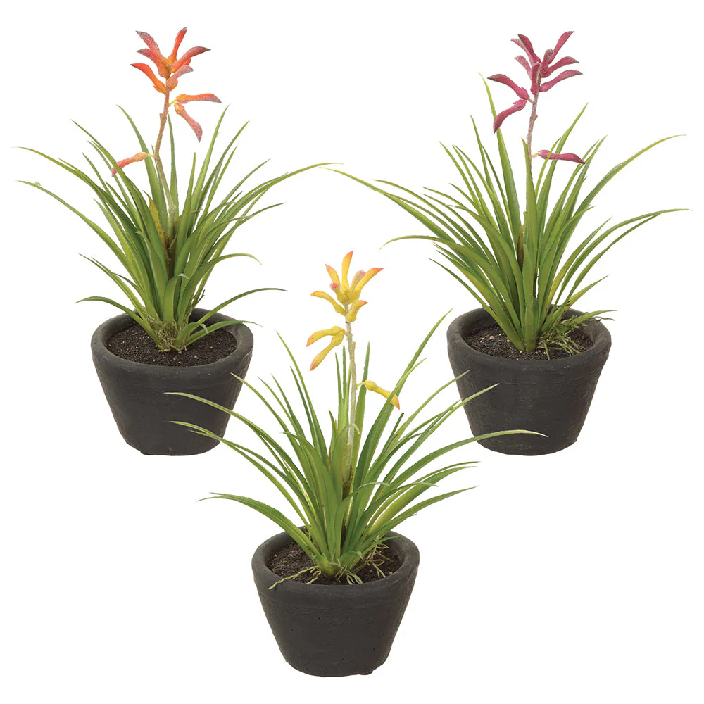 9" Set Of Kangaroo Paw Silk Flower Arrangements w/Cement Pot -Mixed Colors (Pack of 4)