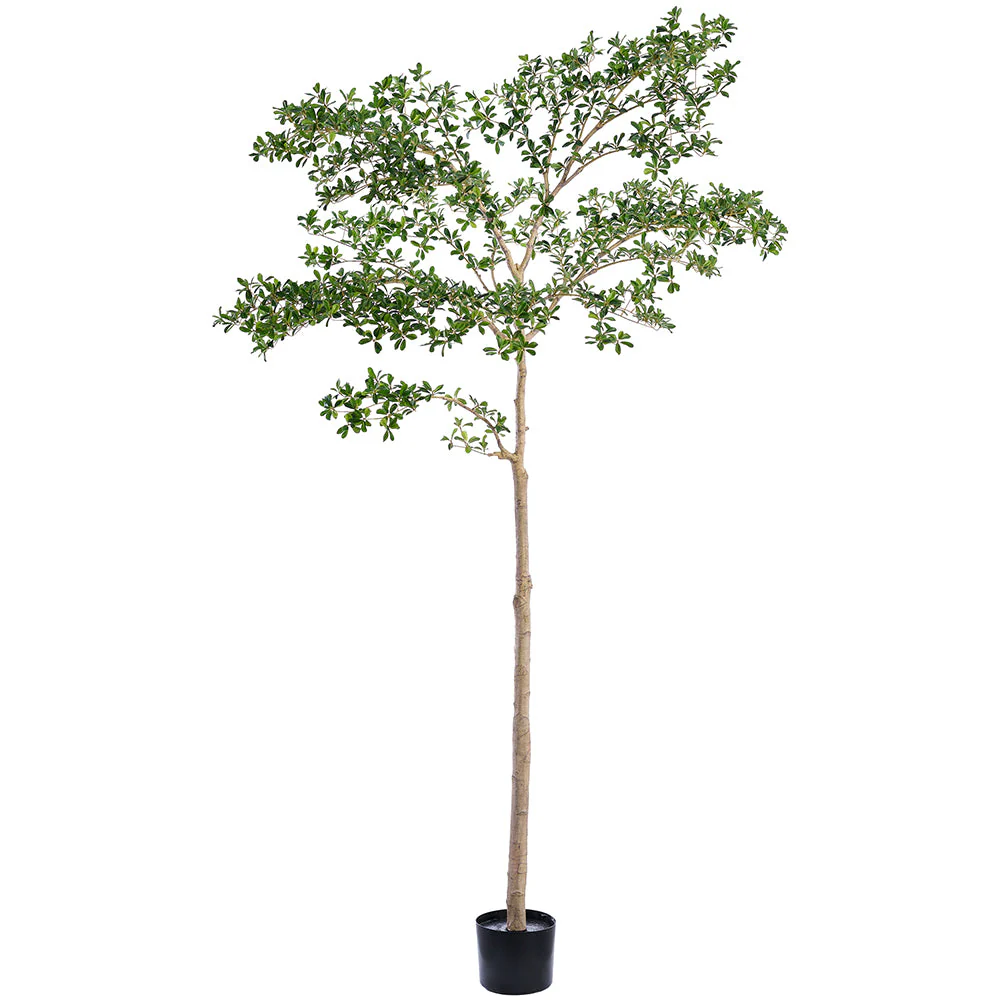9' Shady Lady Olive Silk Tree V2 w/Pot -Green
