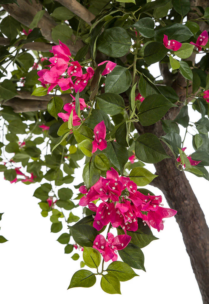 9' Silk Bougainvillea Flower Tree w/Pot -Fuchsia - Image 2
