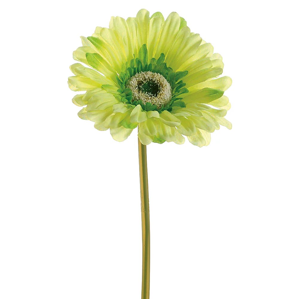 9" Silk Large Gerbera Daisy Flower Spray -Soft Green (Pack of 24)
