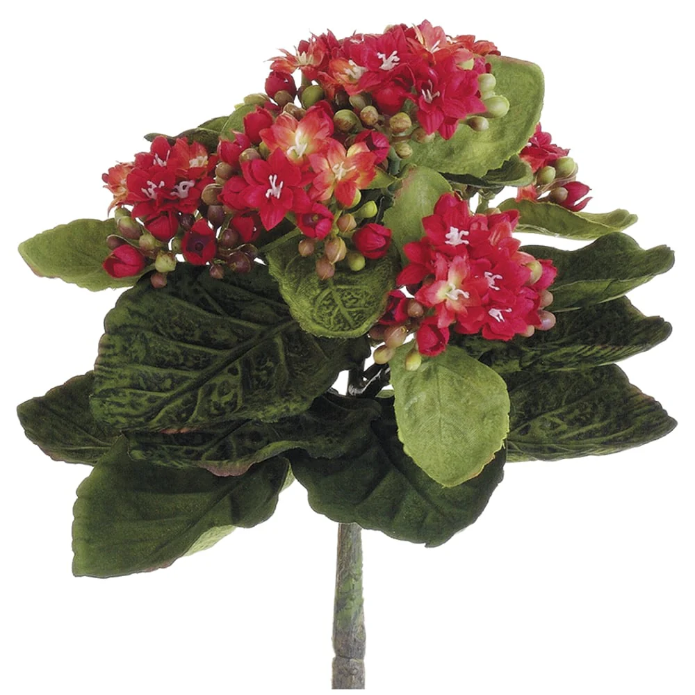 9" Silk Mini Kalanchoe Flower Bush -Red (Pack of 12)