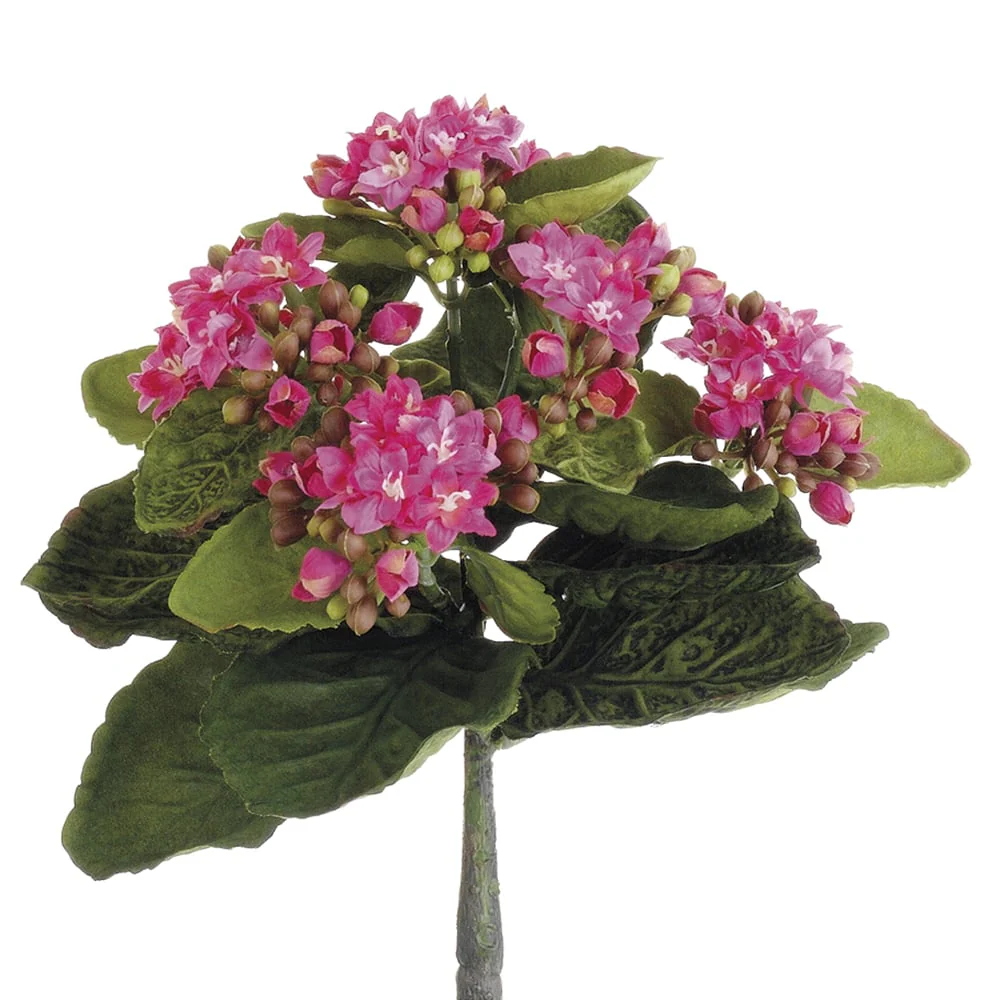 9" Silk Mini Kalanchoe Flower Bush -Rose (Pack of 12)