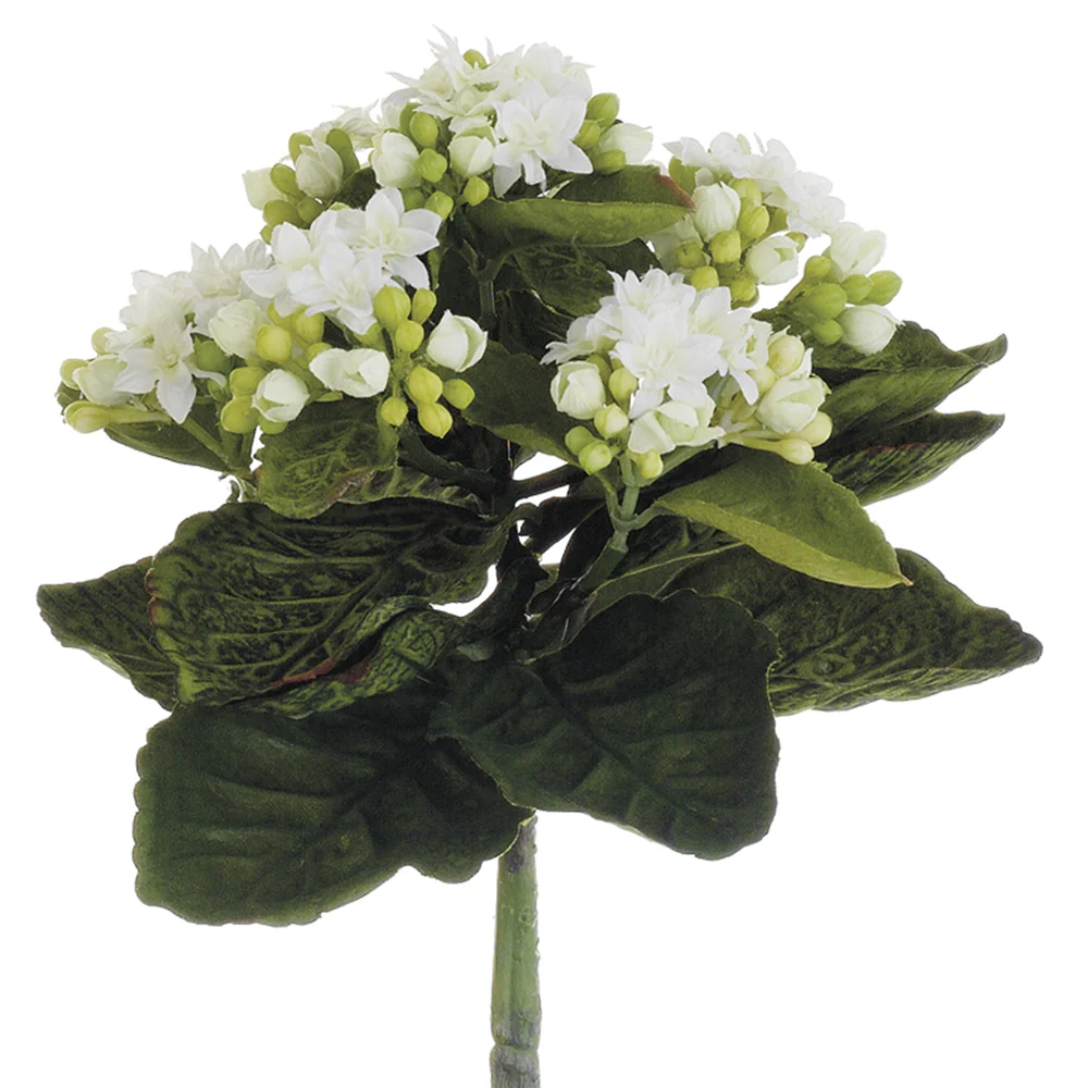 9" Silk Mini Kalanchoe Flower Bush -White (Pack of 12)