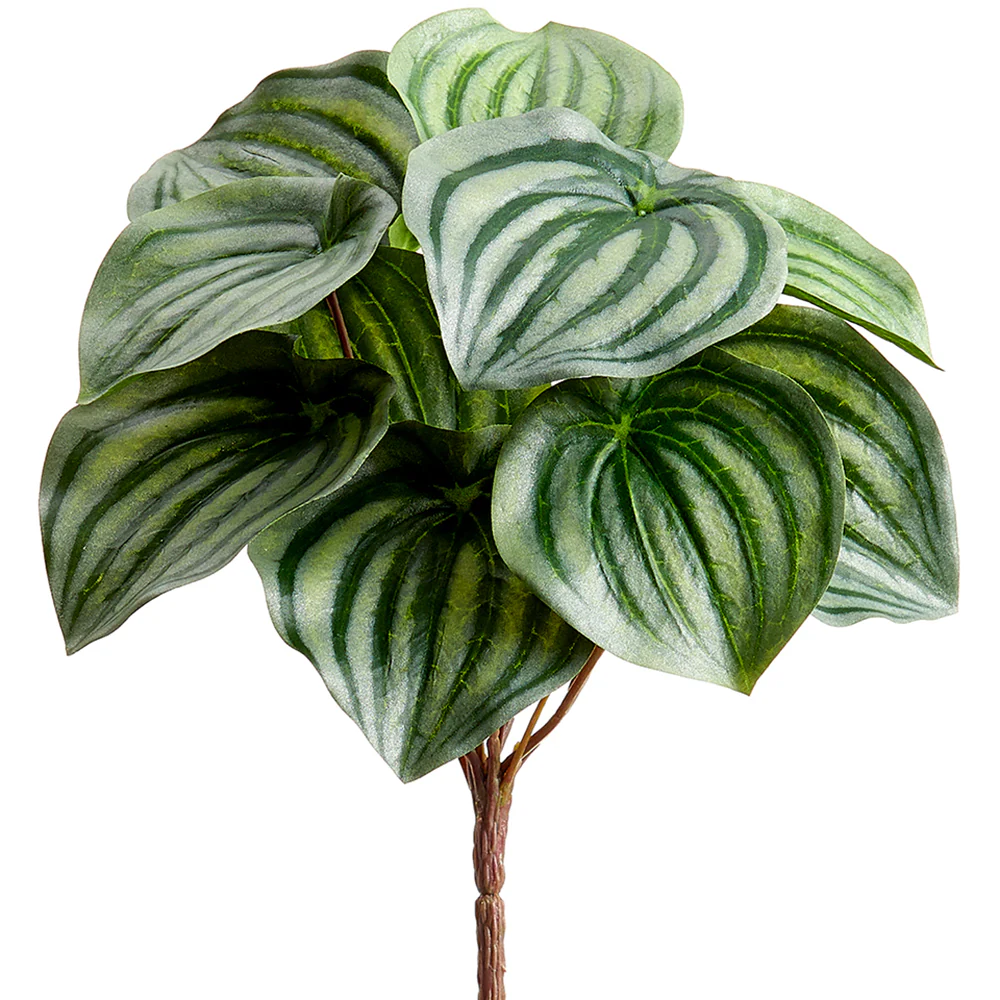 9" Silk Peperomia Leaf Plant -Green/Variegated (Pack of 12)