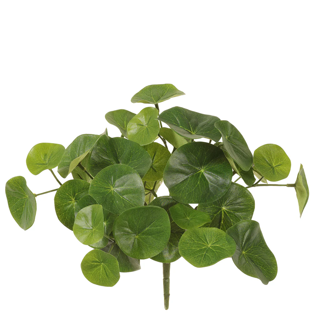 9" Stephania Erecta Leaf Silk Plant -Green (Pack of 12)
