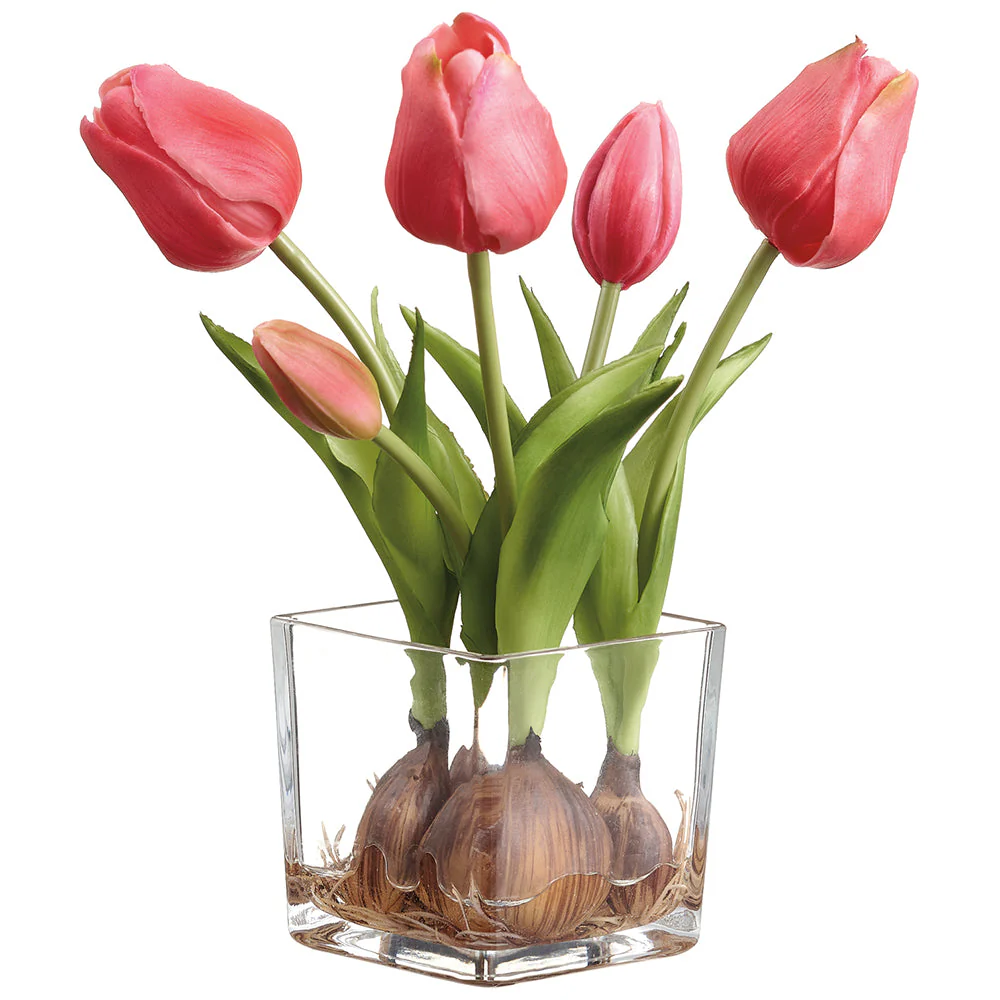 9" Tulip With Bulb Silk Flower Arrangement w/Glass Vase -Fuchsia (Pack of 6)