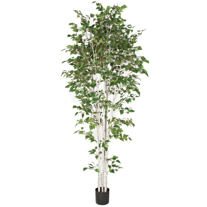 9' White Birch Silk Tree w/Pot -Green