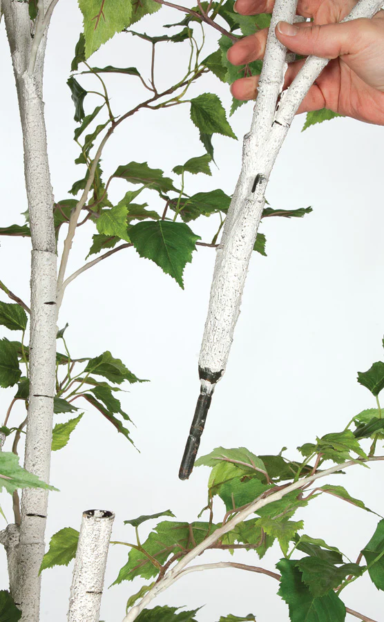 9' White Birch Silk Tree w/Pot -Green - Image 3