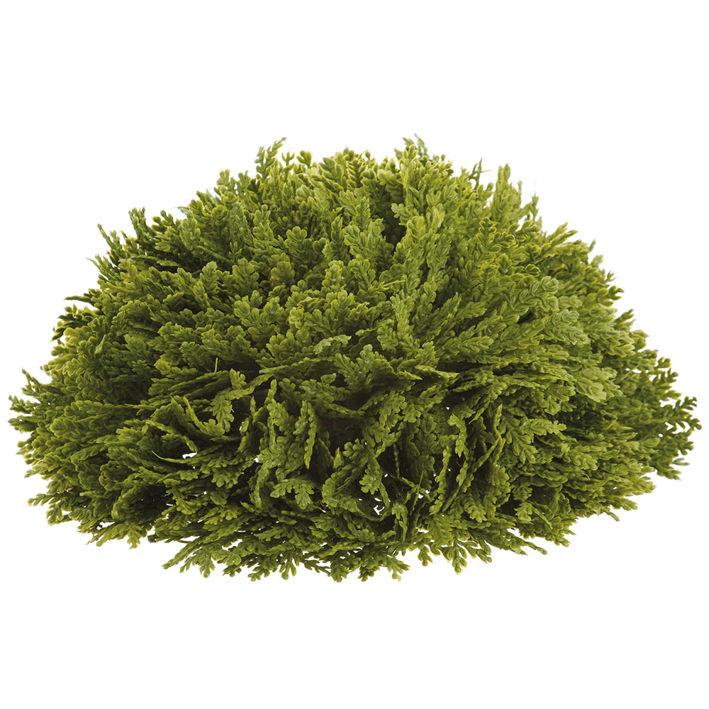 9" Wide Spike Moss Half Ball-Shaped Artificial Topiary -Green (Pack of 4)