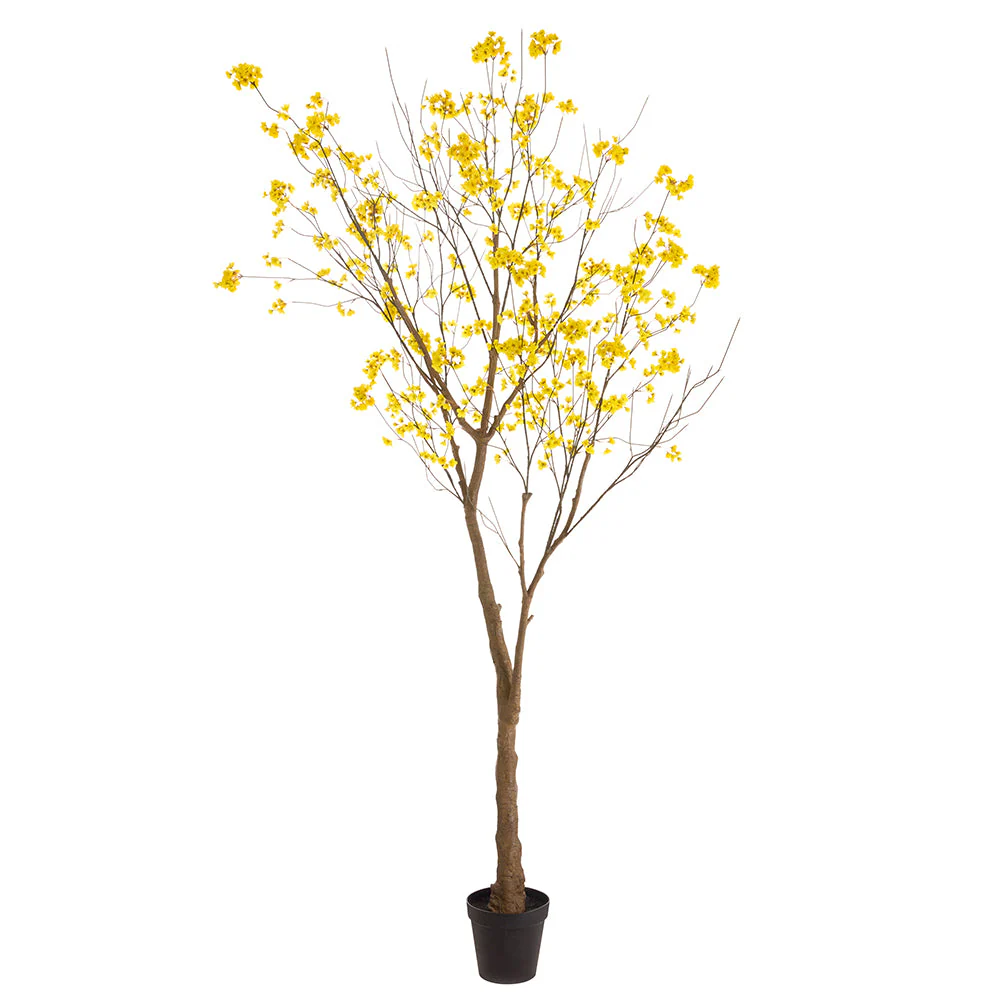 9'10" Flowering Golden Trumpet Silk Tree w/Pot -Yellow