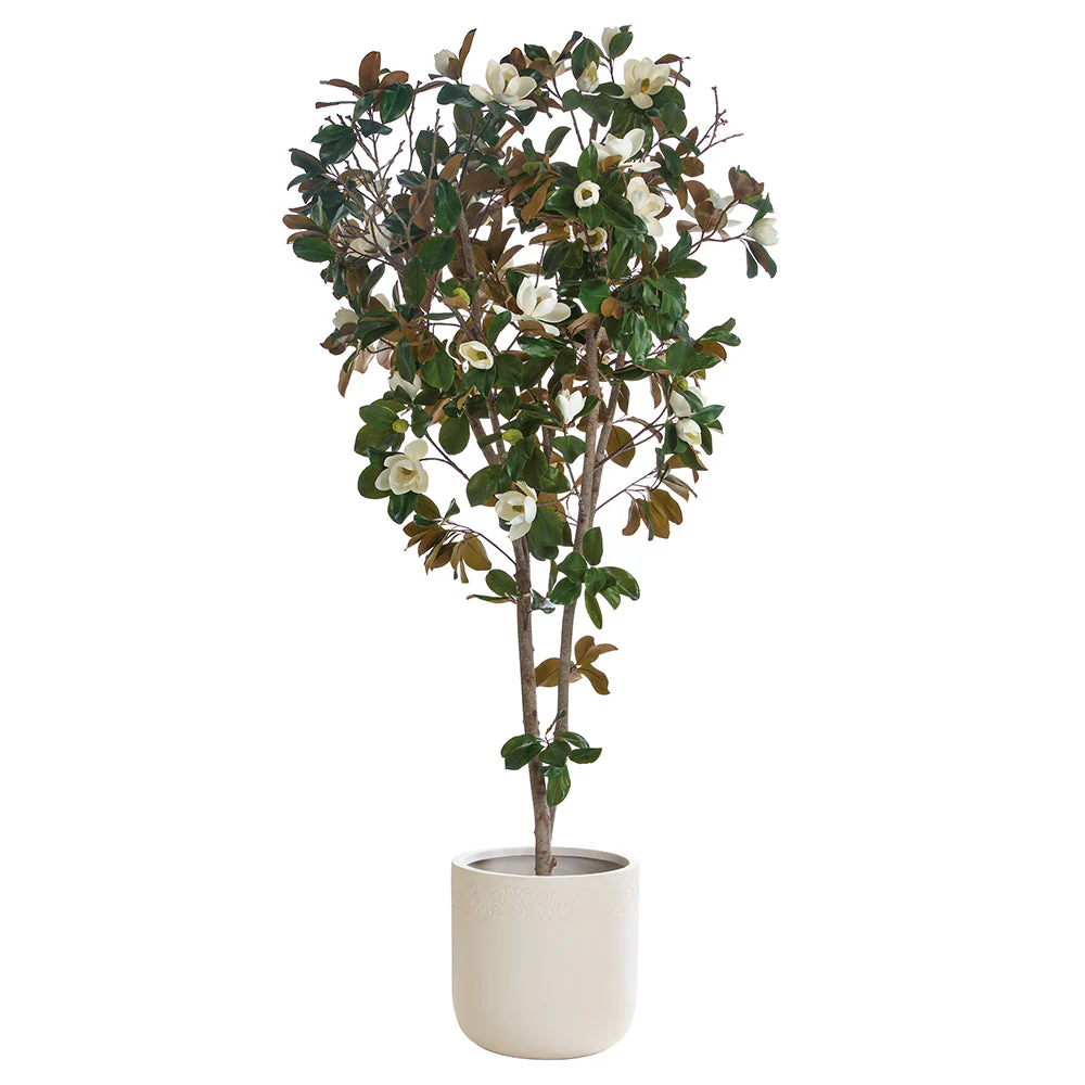 9'2" Flowering Magnolia Leaf Silk Tree w/Fiber Clay Planter -White