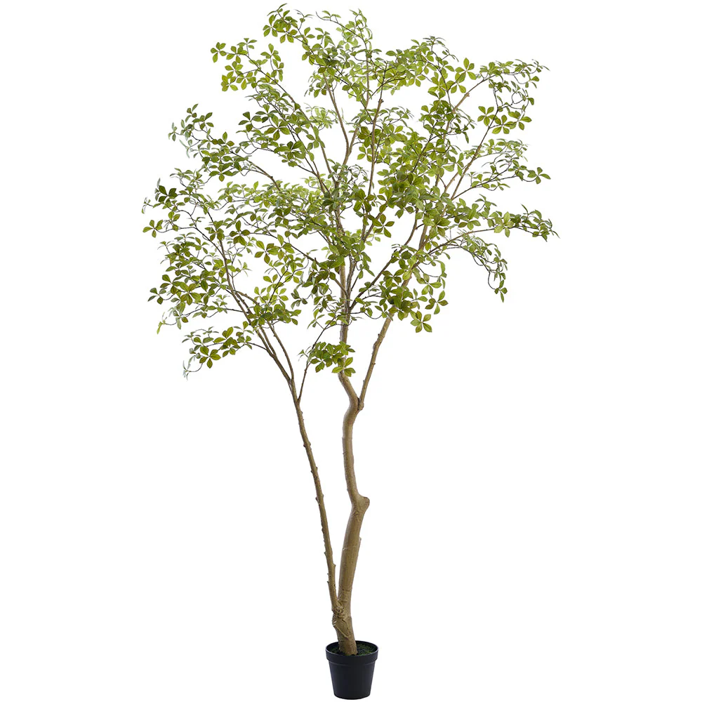 9'6" Enkianthus Silk Tree w/Plastic Pot -Green