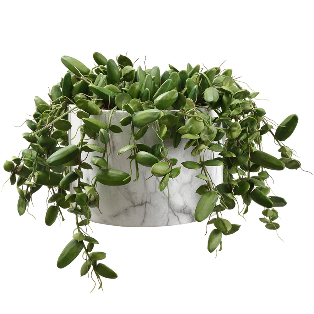 9"Hx14" Artificial Dischidia Succulent Plant w/Pot -Green