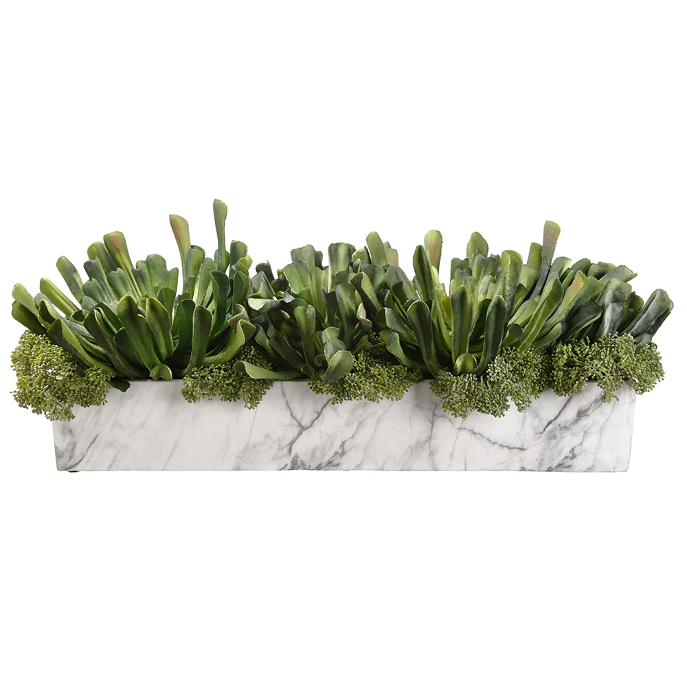9"Hx27.5" Artificial Echeveria Succulent Plant & Skimmia w/Planter -Green