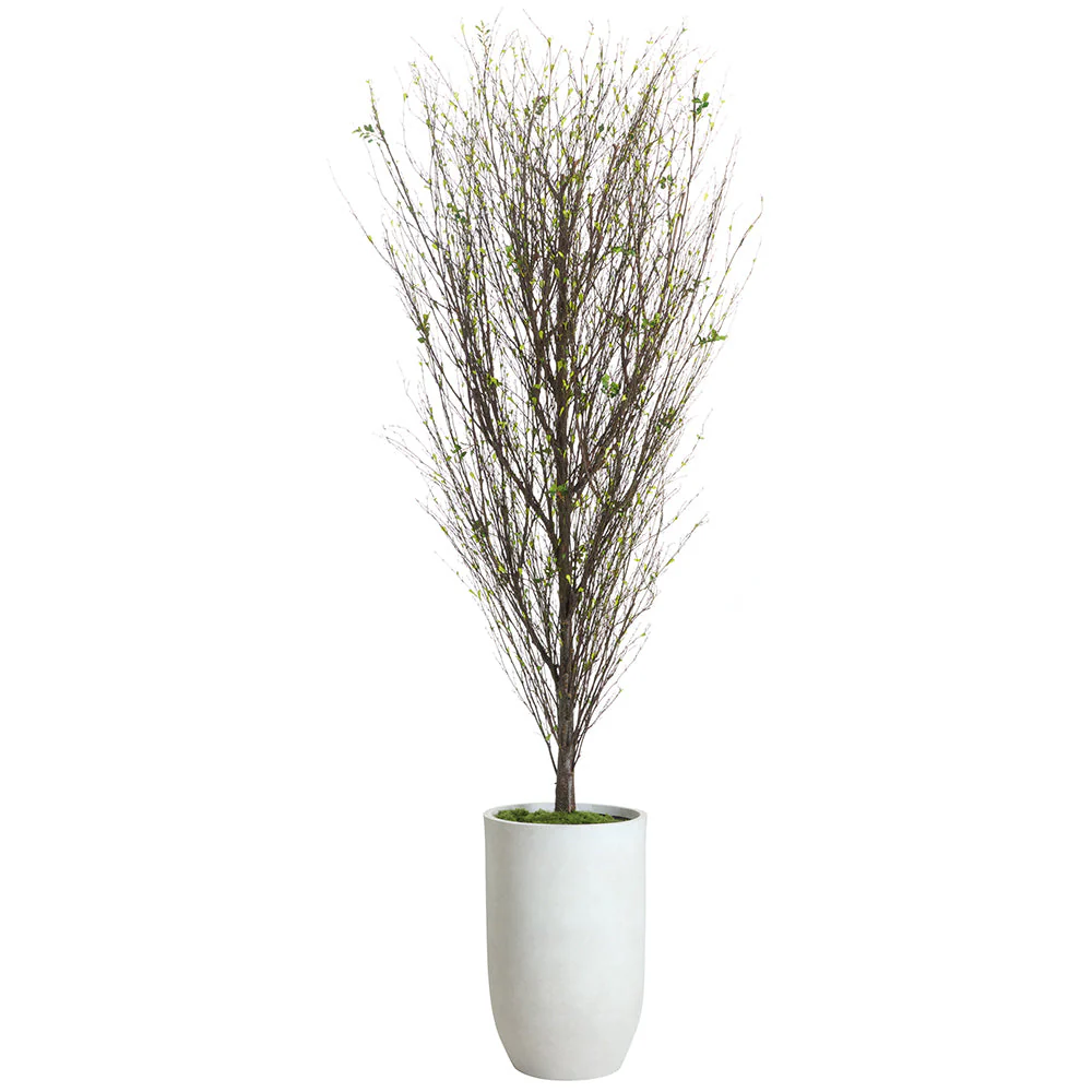 9'Hx36"W Mini Leaf Twig Silk Tree w/Cement Pot -Green