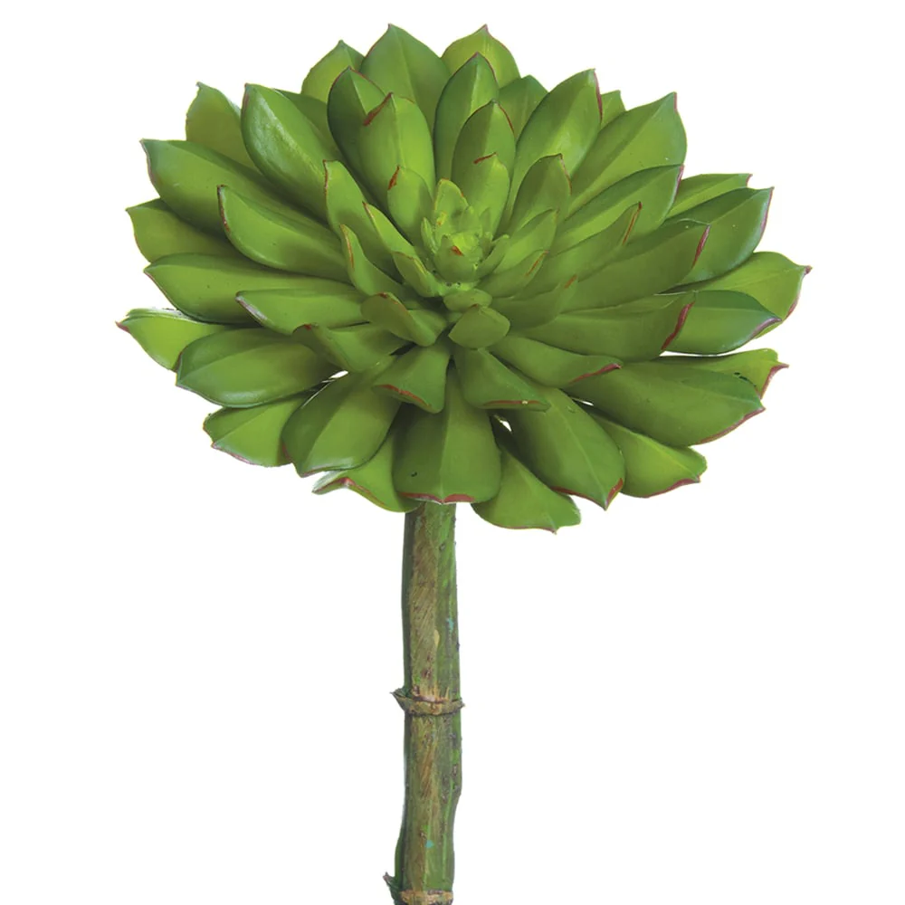 9"Hx6"W Echeveria Artificial Stem Pick -Green (Pack of 12)