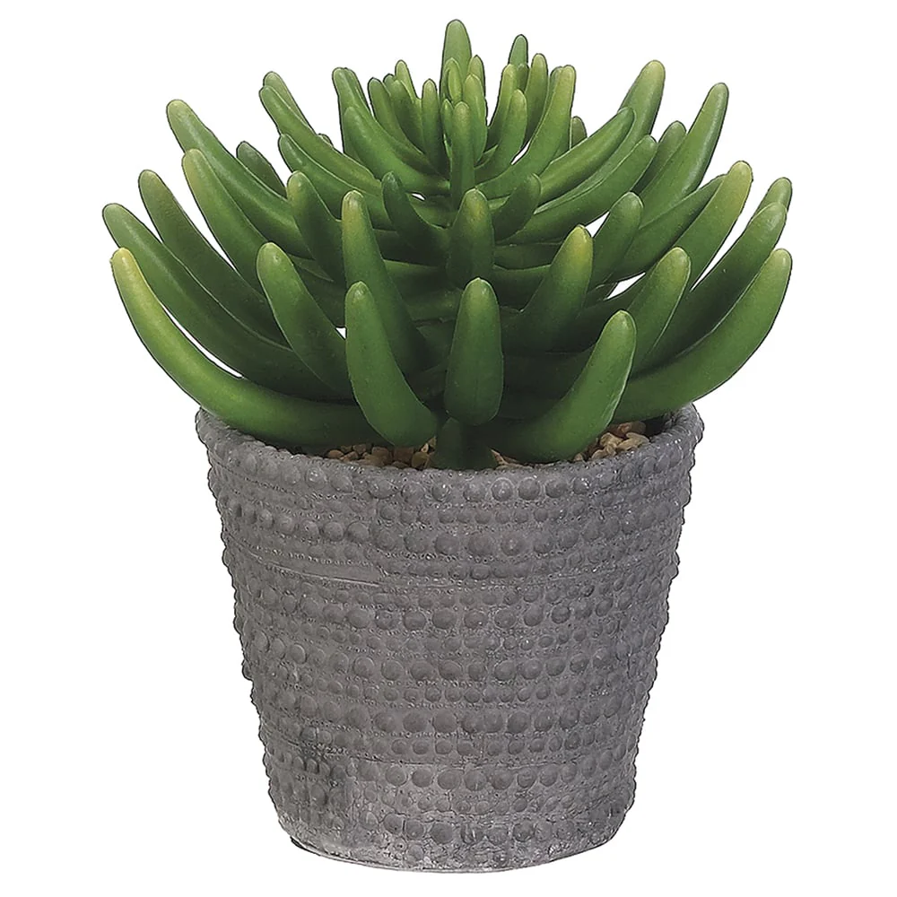 9"Hx9"W Aeonium Artificial Plant w/Cement Pot -Green