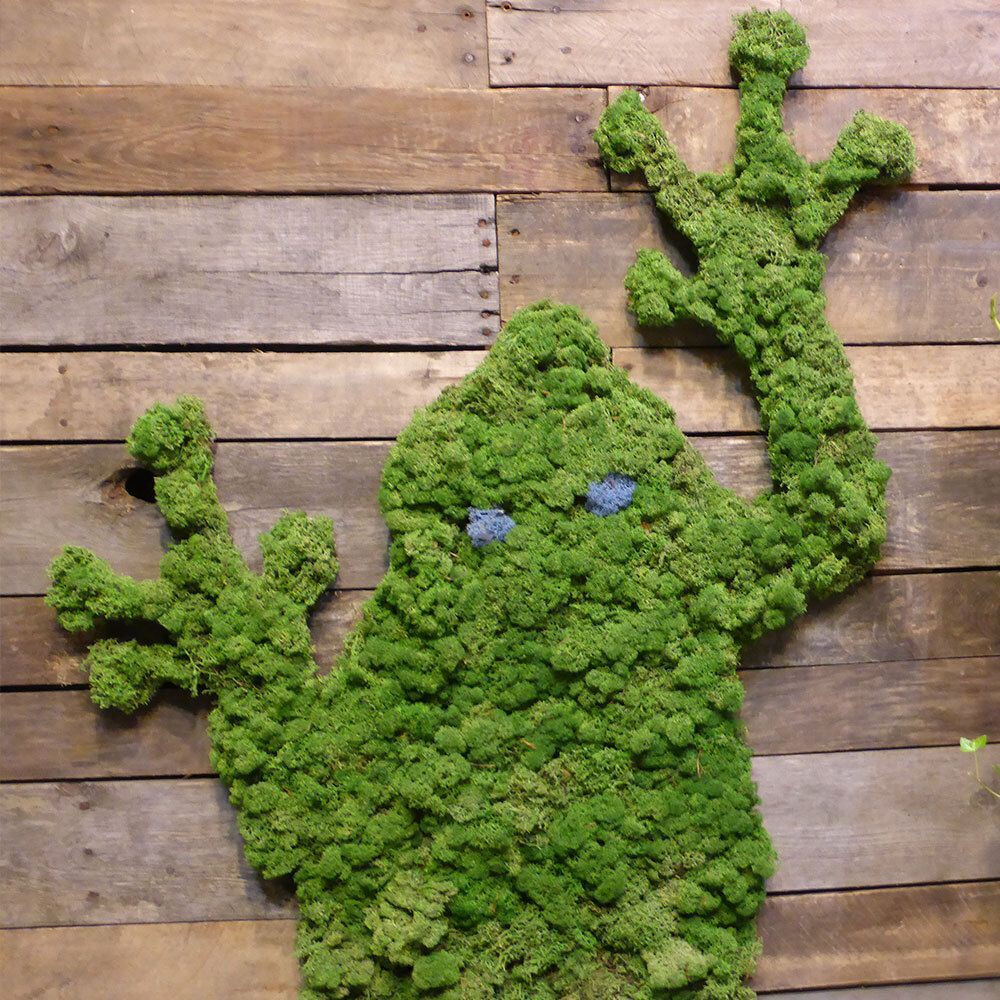Preserved Reindeer Moss Planter Top Dressing 10lb Box - Image 4